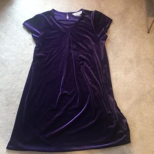 Lands’end purple velvet dress